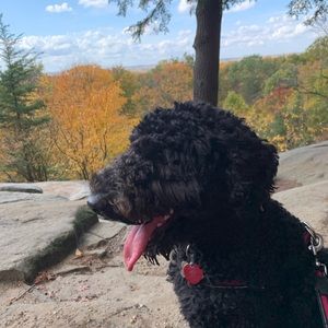 Meet your Posher, Jen